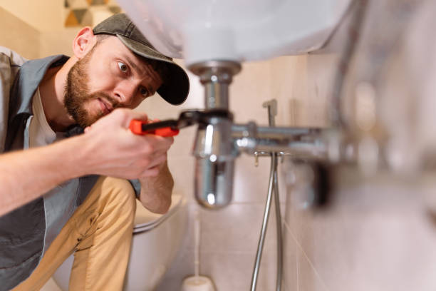 Best Drain Cleaning Services  in Argo, AL