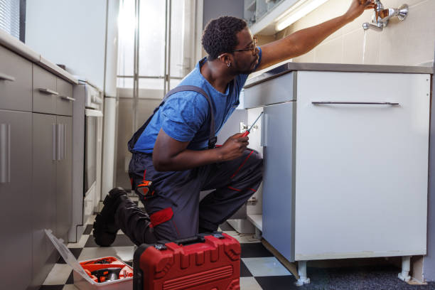 Best Plumbing Inspection Services  in Argo, AL