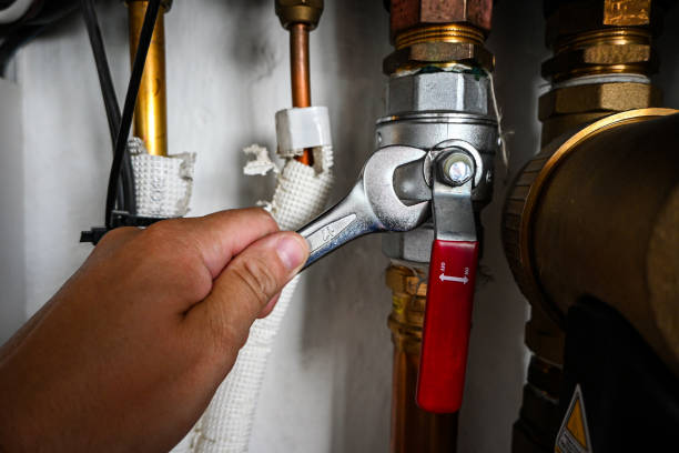 Best Emergency Plumbing Repair  in Argo, AL